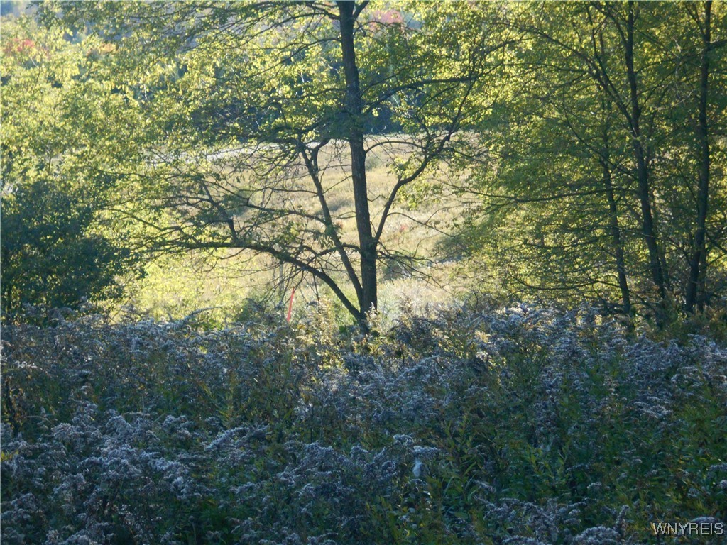 4738 Roszyk Hill Road Machias, NY 14101 - Photo 12 of 15