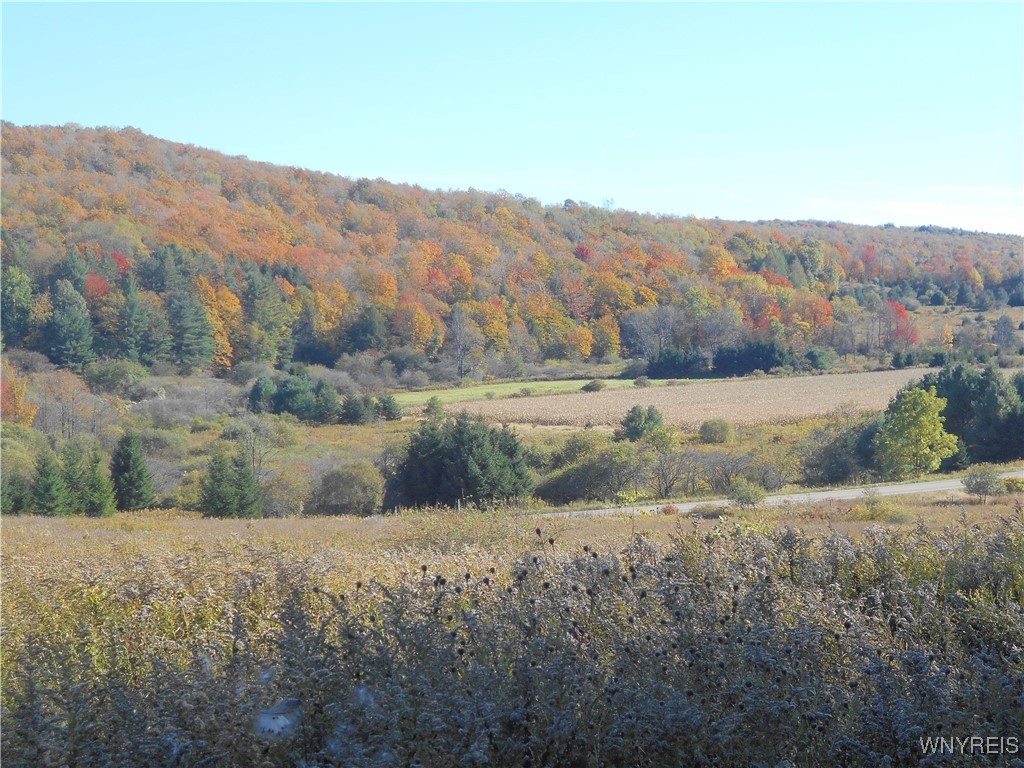 4738 Roszyk Hill Road Machias, NY 14101 - Photo 13 of 15