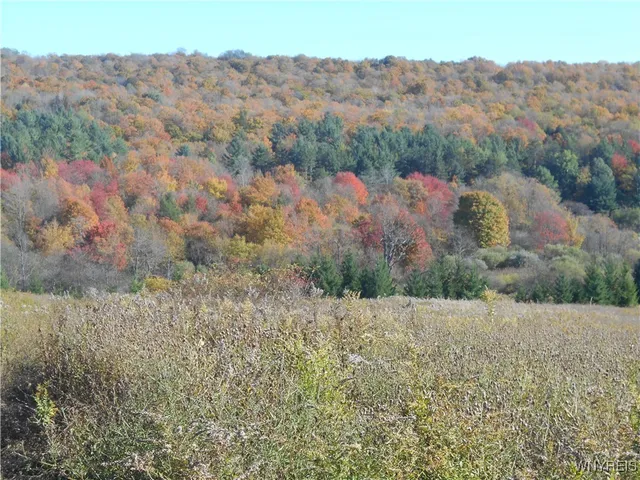 $32,500 | 4738 Roszyk Hill Road, Machias, NY 14101