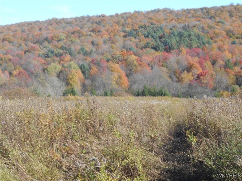 4738 Roszyk Hill Road Machias, NY 14101 - Photo 15 of 15