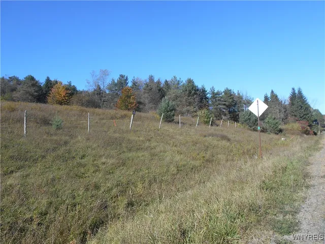 $32,500 | 4738 Roszyk Hill Road, Machias, NY 14101