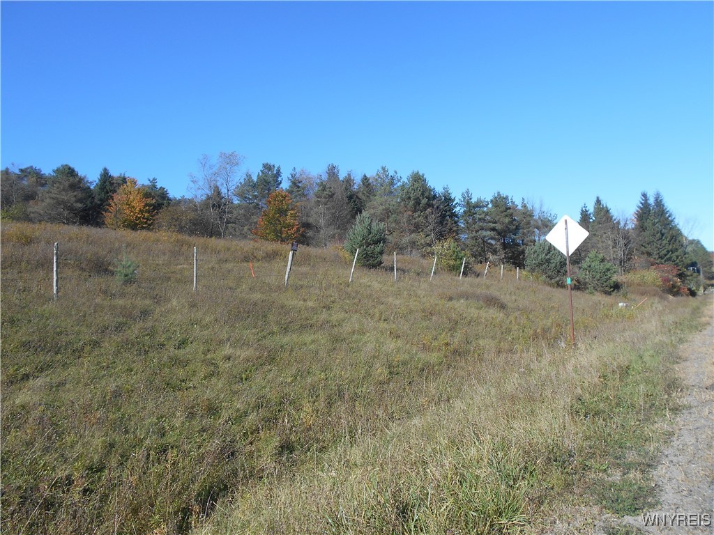 4738 Roszyk Hill Road Machias, NY 14101 - Photo 3 of 15