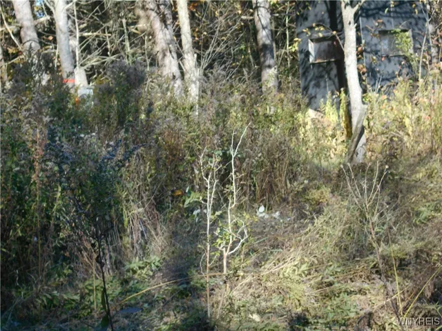 $32,500 | 4738 Roszyk Hill Road, Machias, NY 14101