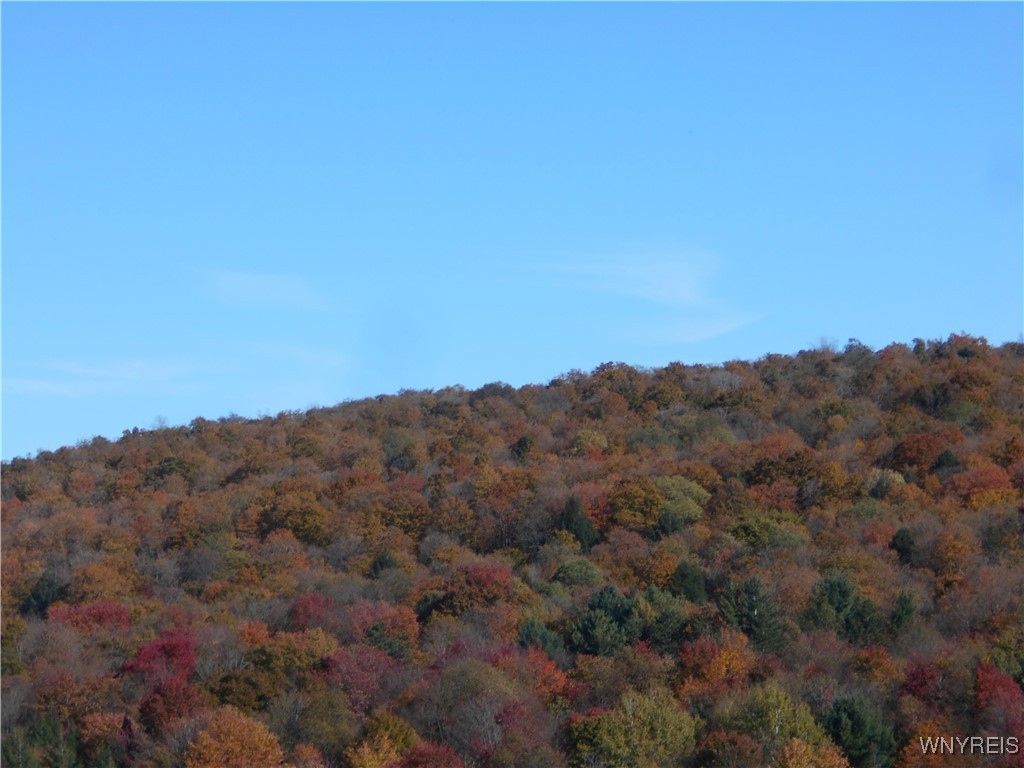 4738 Roszyk Hill Road Machias, NY 14101 - Photo 8 of 15