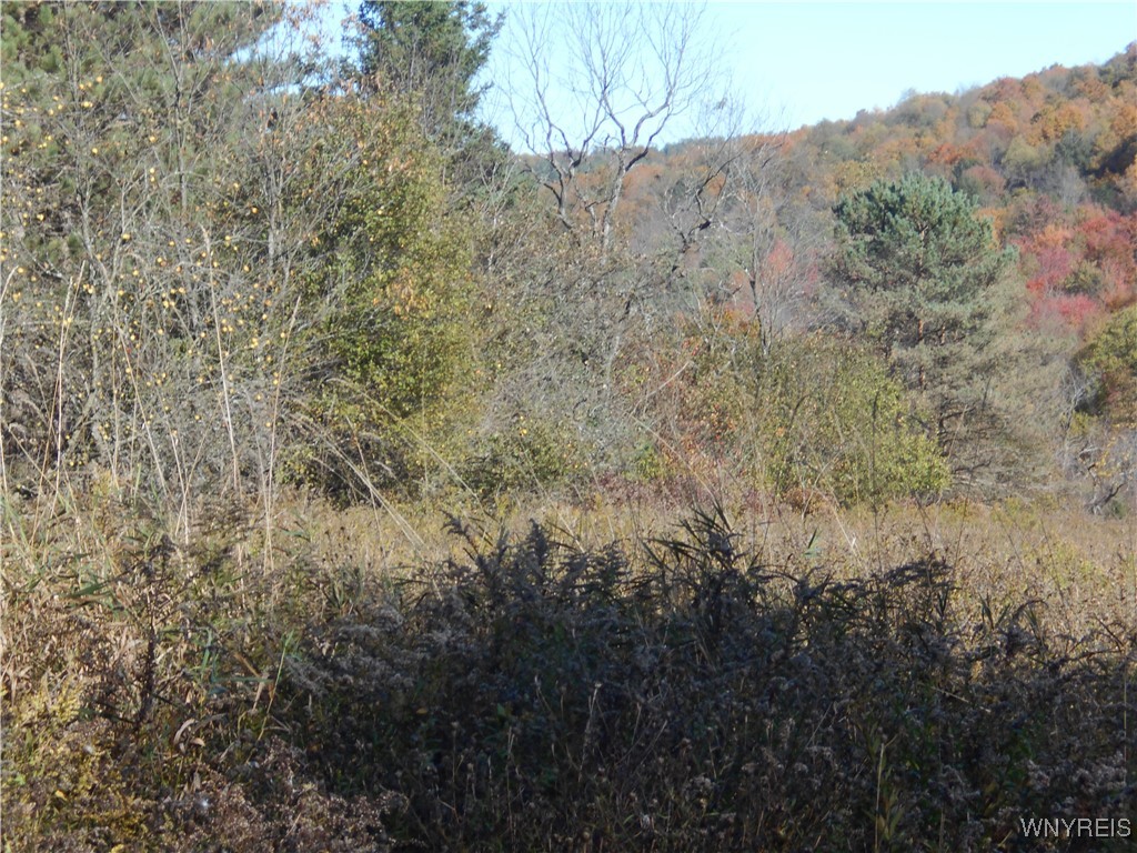 4738 Roszyk Hill Road Machias, NY 14101 - Photo 9 of 15