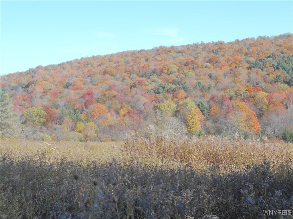 4738 Roszyk Hill Road Machias, NY 14101 - Photo 10 of 15