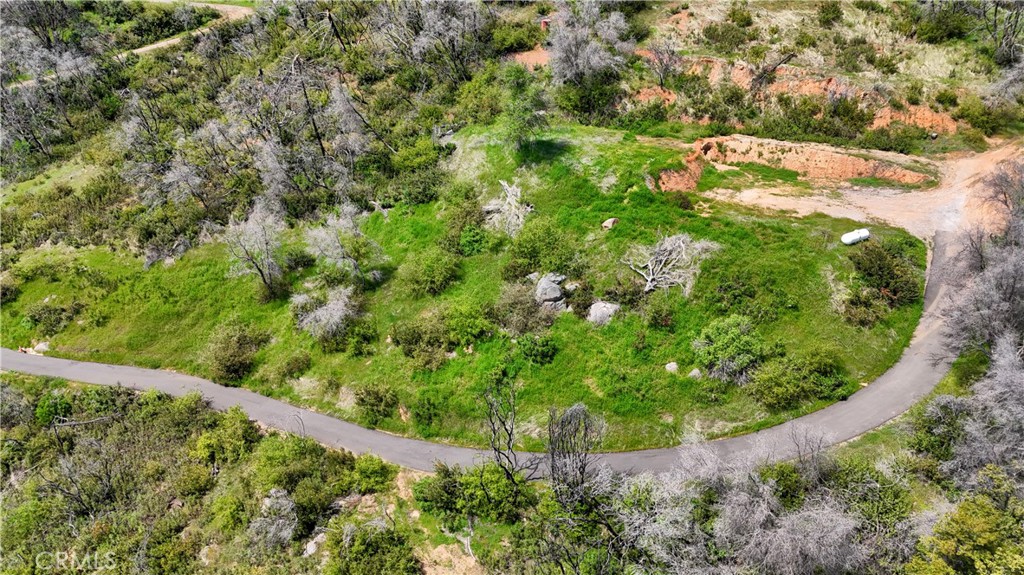 4632 Triangle Road Mariposa, CA 95338 - Photo 26 of 26 a view of a garden with a tree