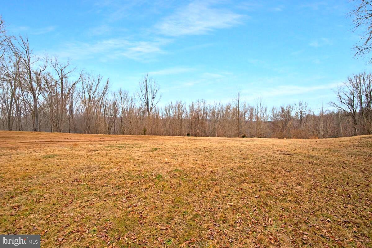 8241 Surratts Road Clinton, MD 20735 - Photo 50 of 55 a view of yard with trees