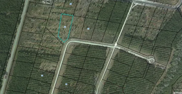 $15,000 | 23 Satilla Plantation, Waynesville, GA 31566