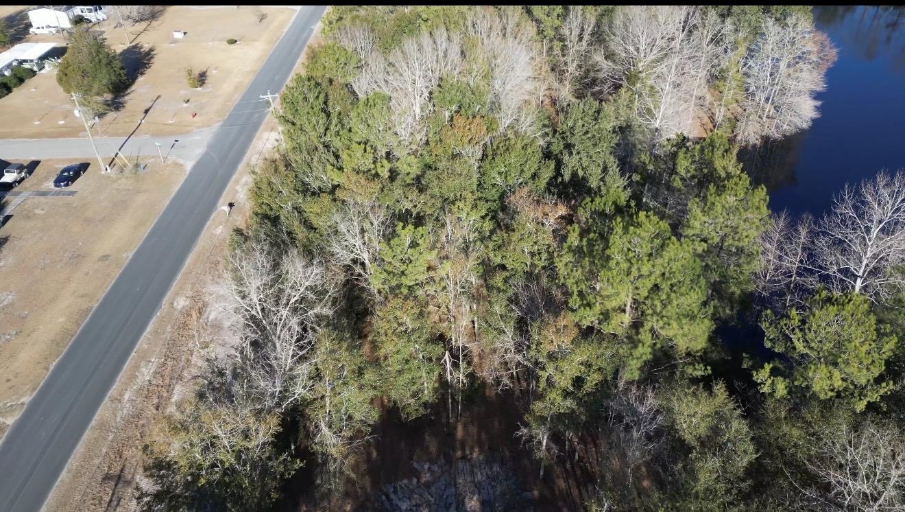 652 Goretown Loop Loris, SC 29569 - Photo 30 of 31