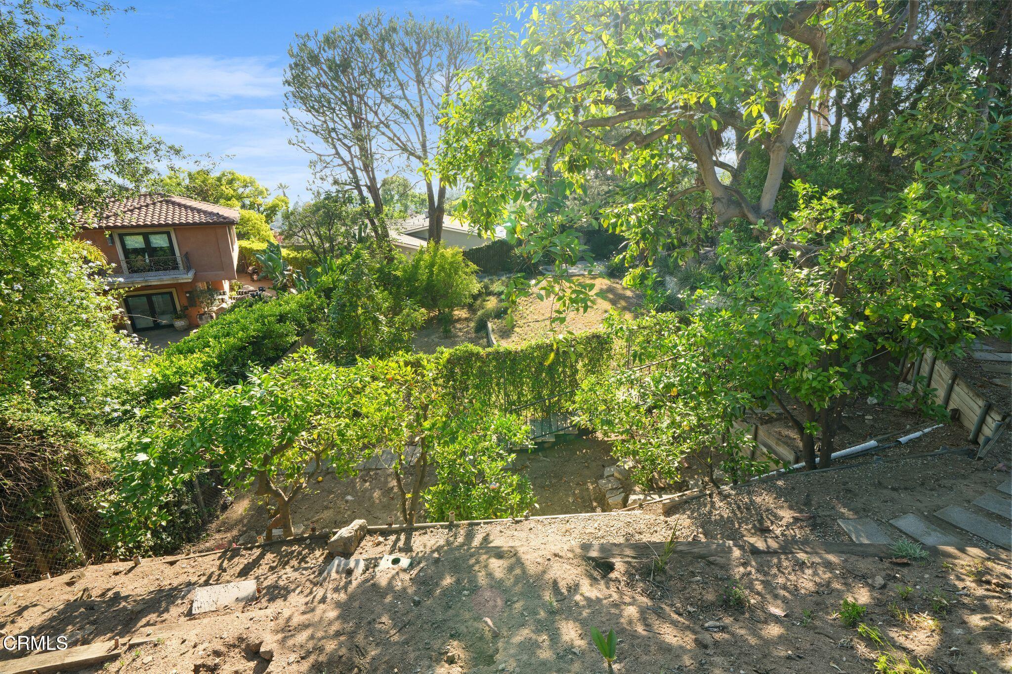 3680 Startouch Drive Pasadena, CA 91107 - Photo 23 of 27 a view of a garden with plants