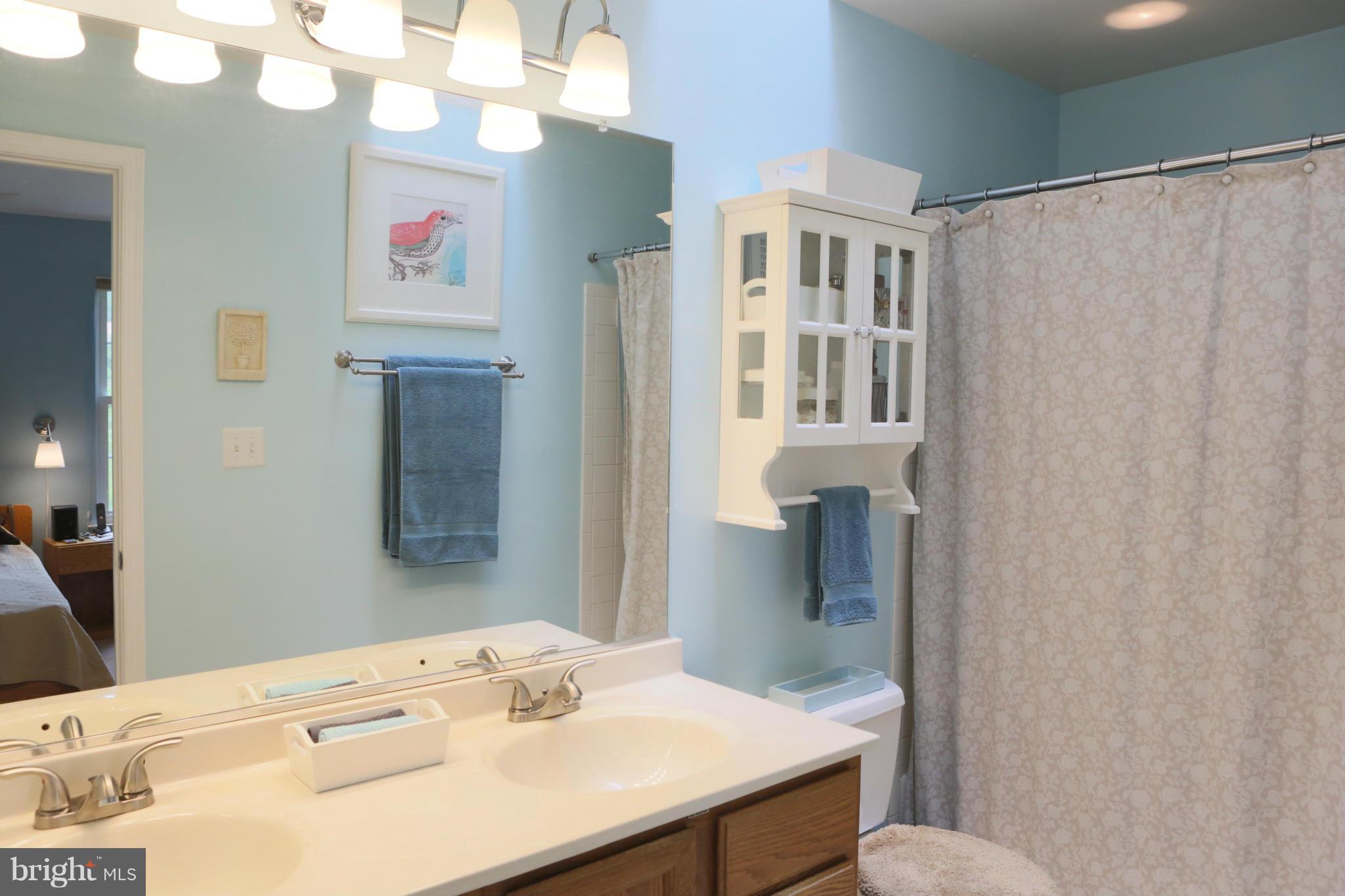 6805 Mayfair Road Laurel, MD 20707 - Photo 17 of 22 Bath (Master)
