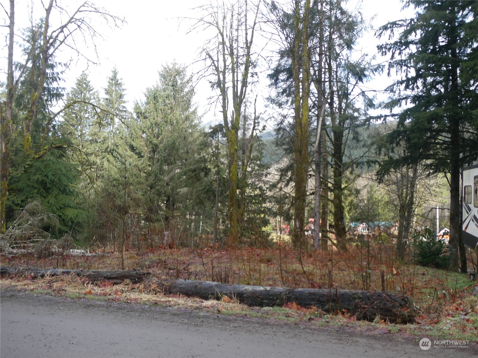 0 South Riverside Road Gold Bar, WA 98251 - Photo 1 of 20 a view of a forest with trees in the background