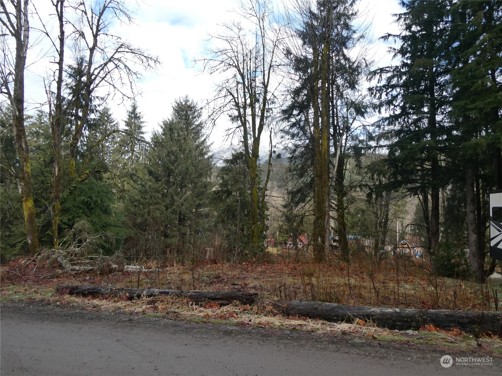 0 South Riverside Road Gold Bar, WA 98251 - Photo 11 of 20 a view of a yard with a tree