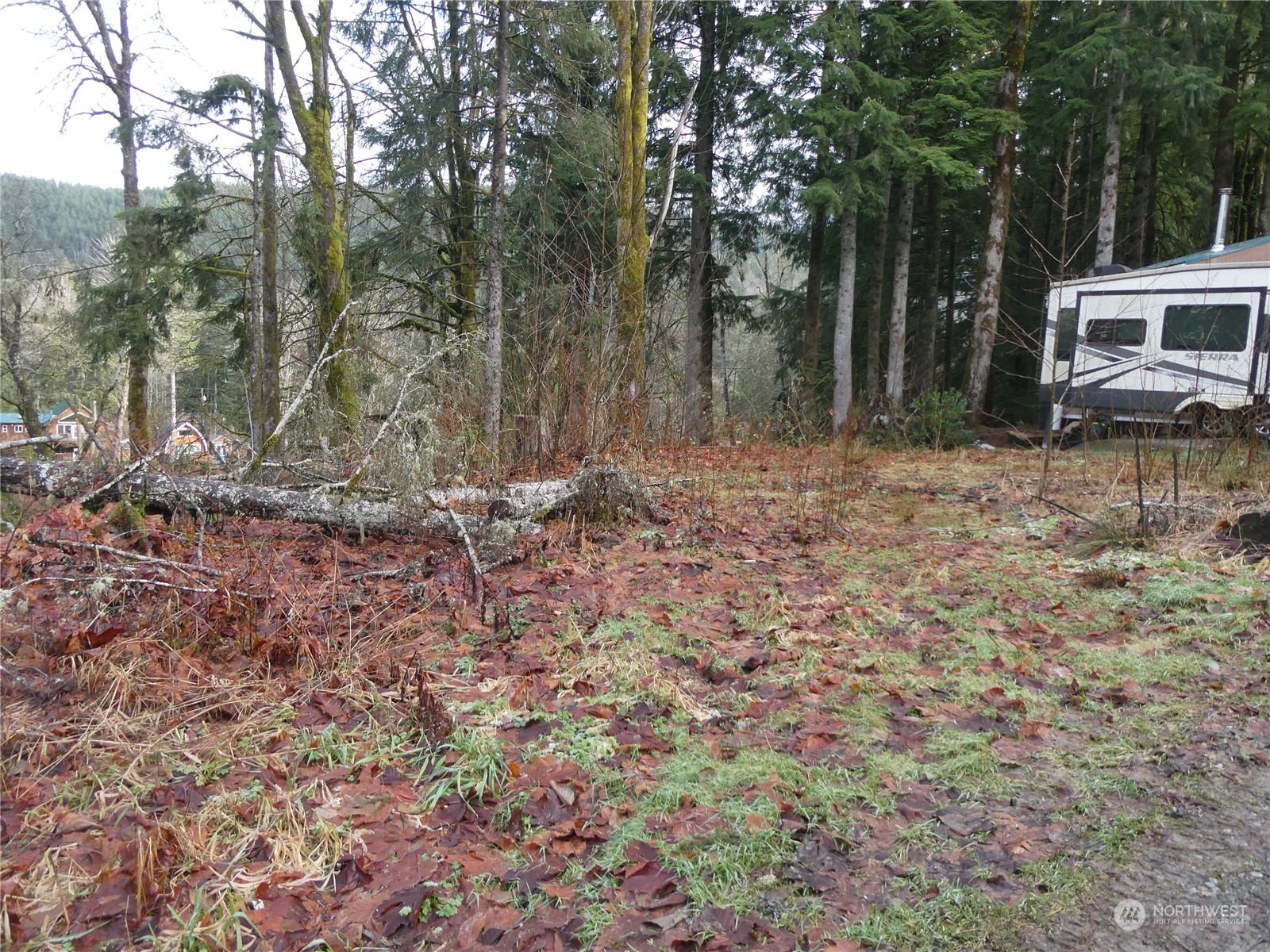 0 South Riverside Road Gold Bar, WA 98251 - Photo 14 of 20 a backyard of a house with lots of green space