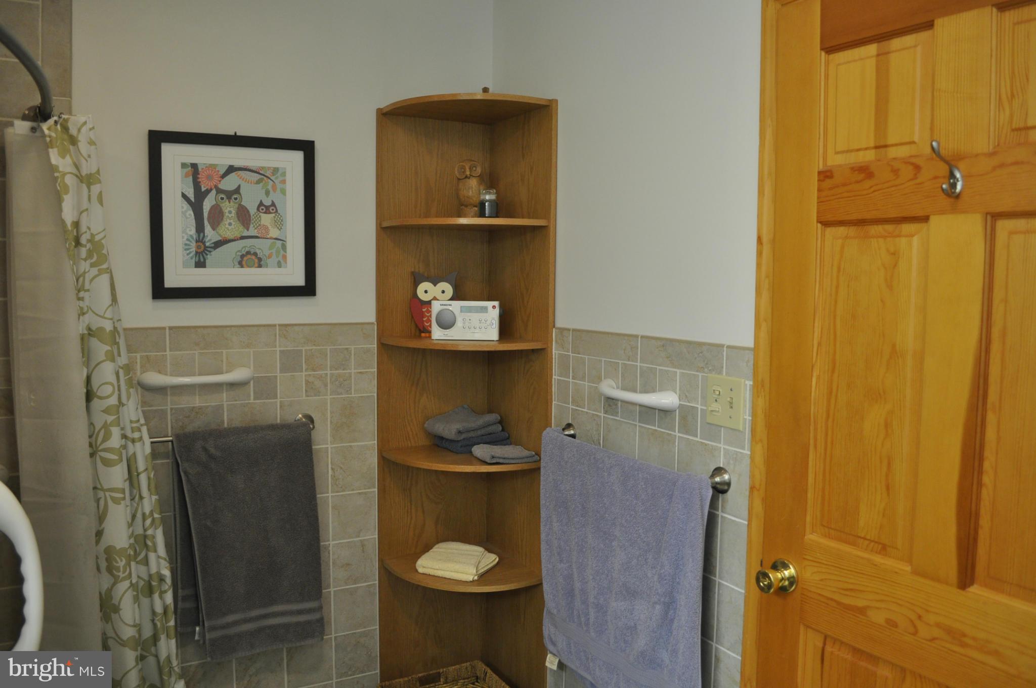 844 Gist Road Westminster, MD 21157 - Photo 19 of 27 Bath (Master)
