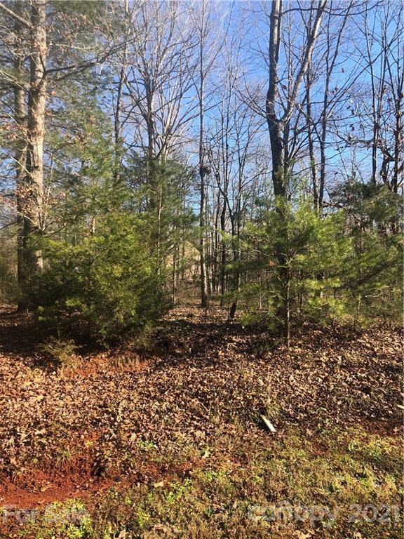 11 Cline Farm Road, Unit 11 Lincolnton, NC 28092 - Photo 6 of 7 Gallery Image 6