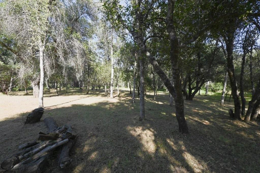 5731 Colorado Road Mariposa, CA 95338 - Photo 49 of 53