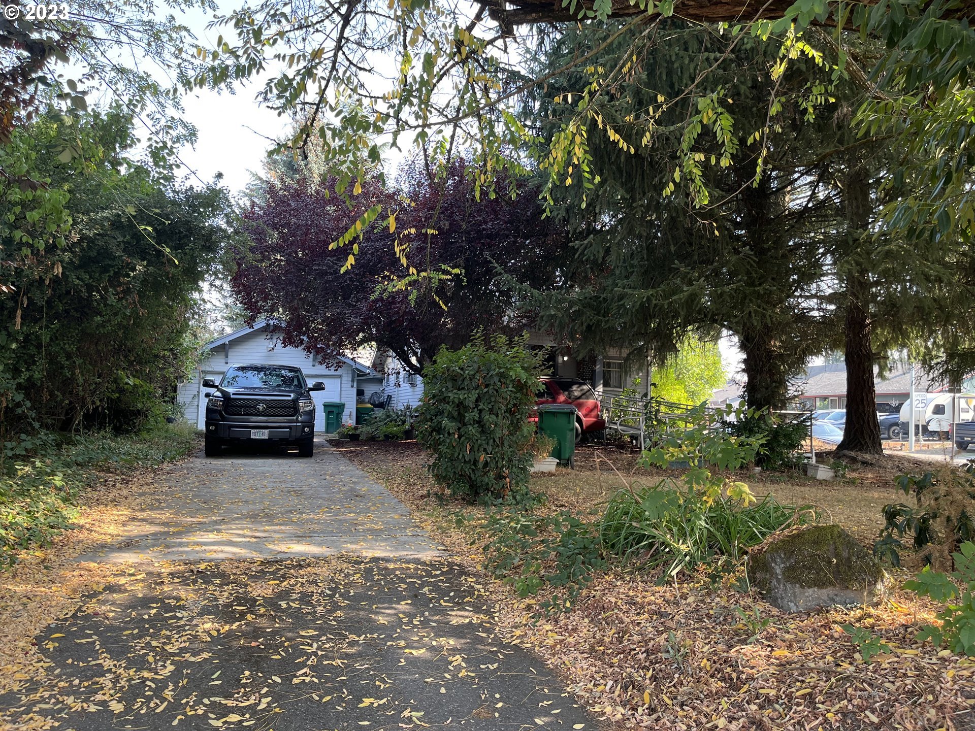 a view of a yard with a house and a tree