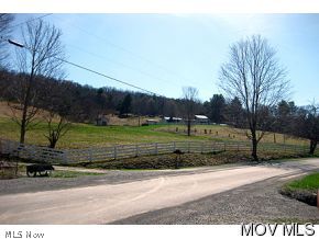 32 B Zenith Road Union, WV 24983 - Photo 3 of 22
