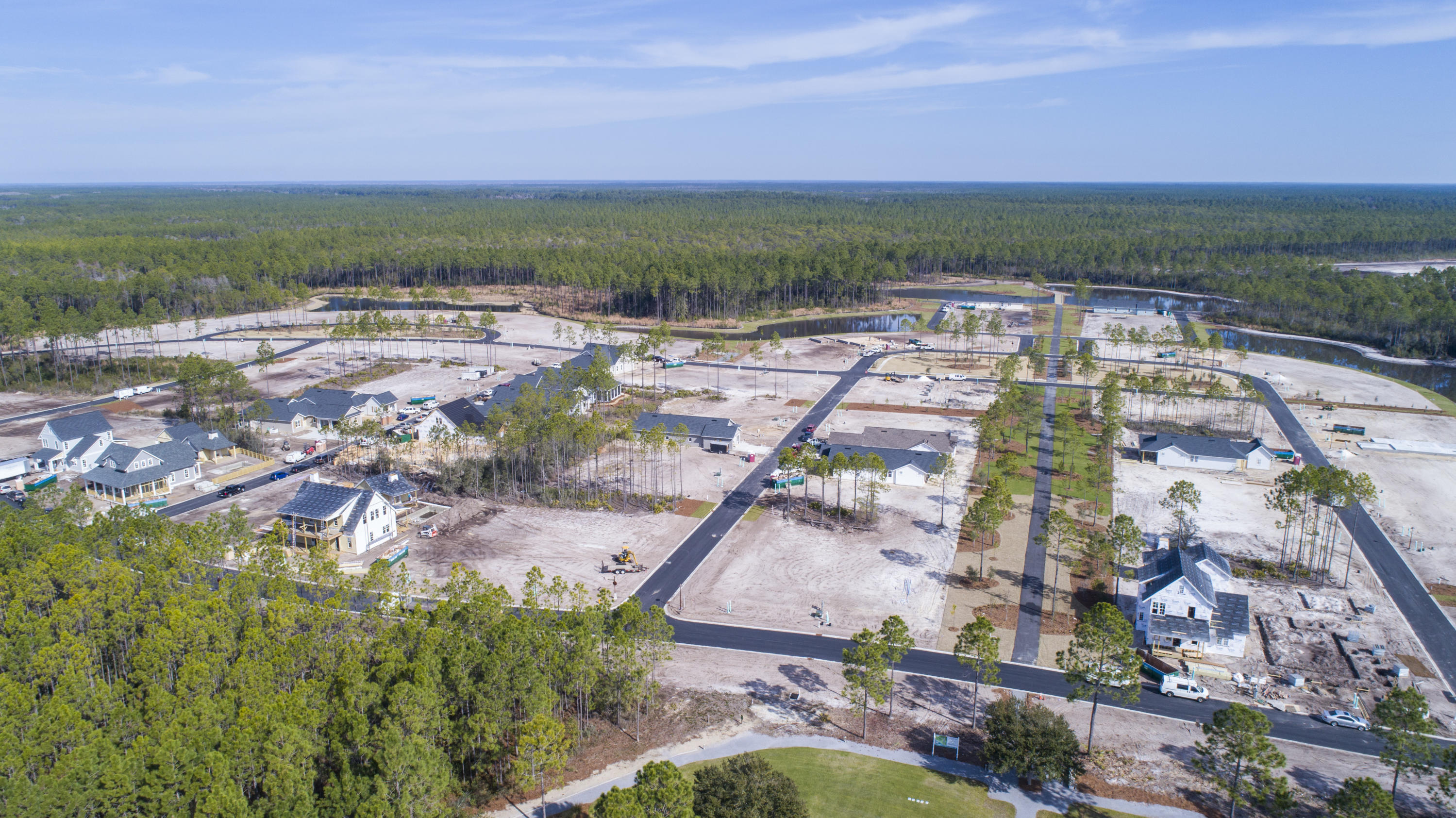 Tbd Tbd Needlecast Ln Inlet Beach, Unit LOT 9 Inlet Beach, FL 32461 - Photo 10 of 12 watersound-origins-002