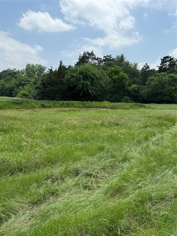 730 North St Decatur Tx 76234 Decatur, TX 76234 - Photo 5 of 14 a view of a field of grass and trees