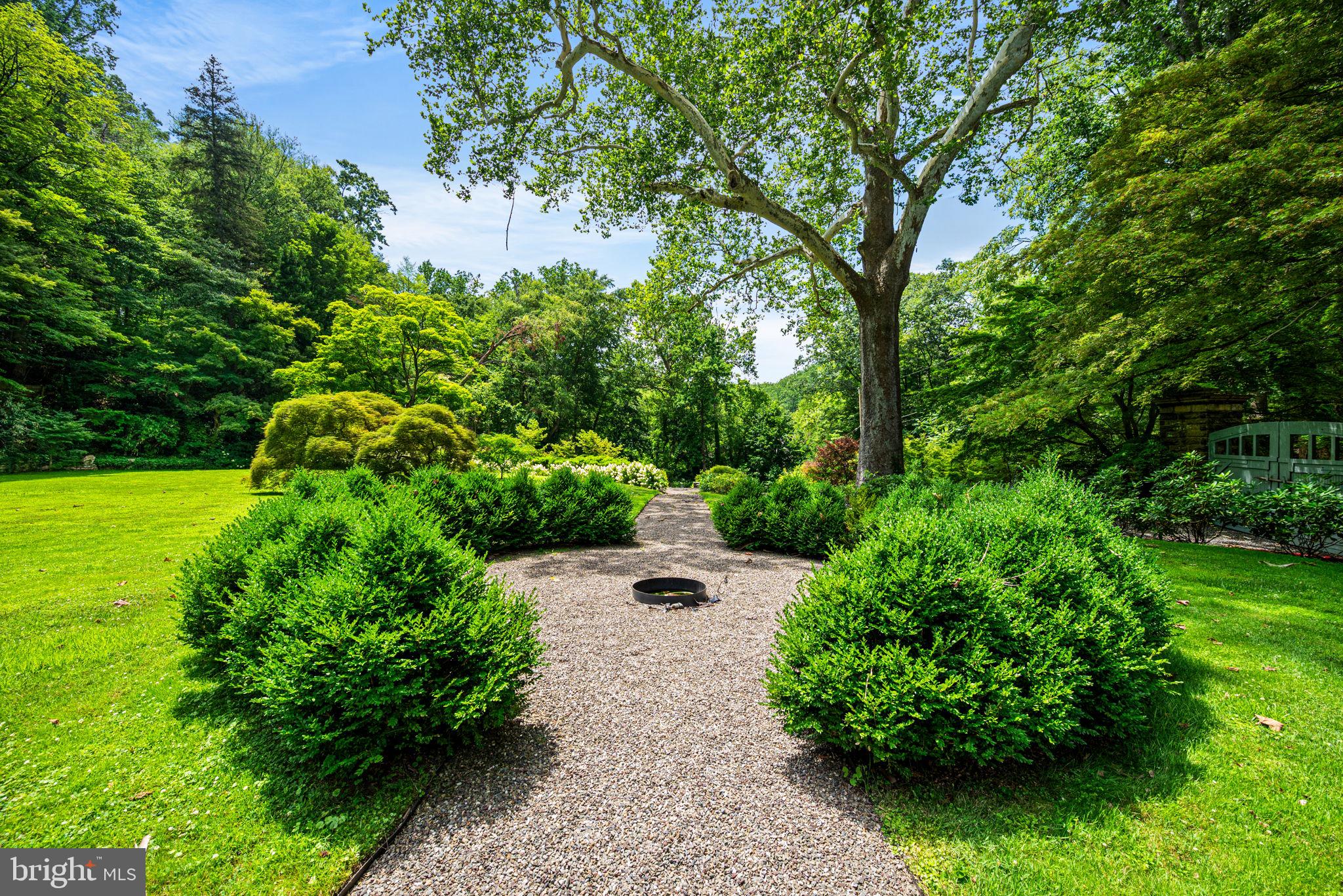 42 West Bells Mill Road Philadelphia, PA 19118 - Photo 39 of 43 a view of a garden with large trees