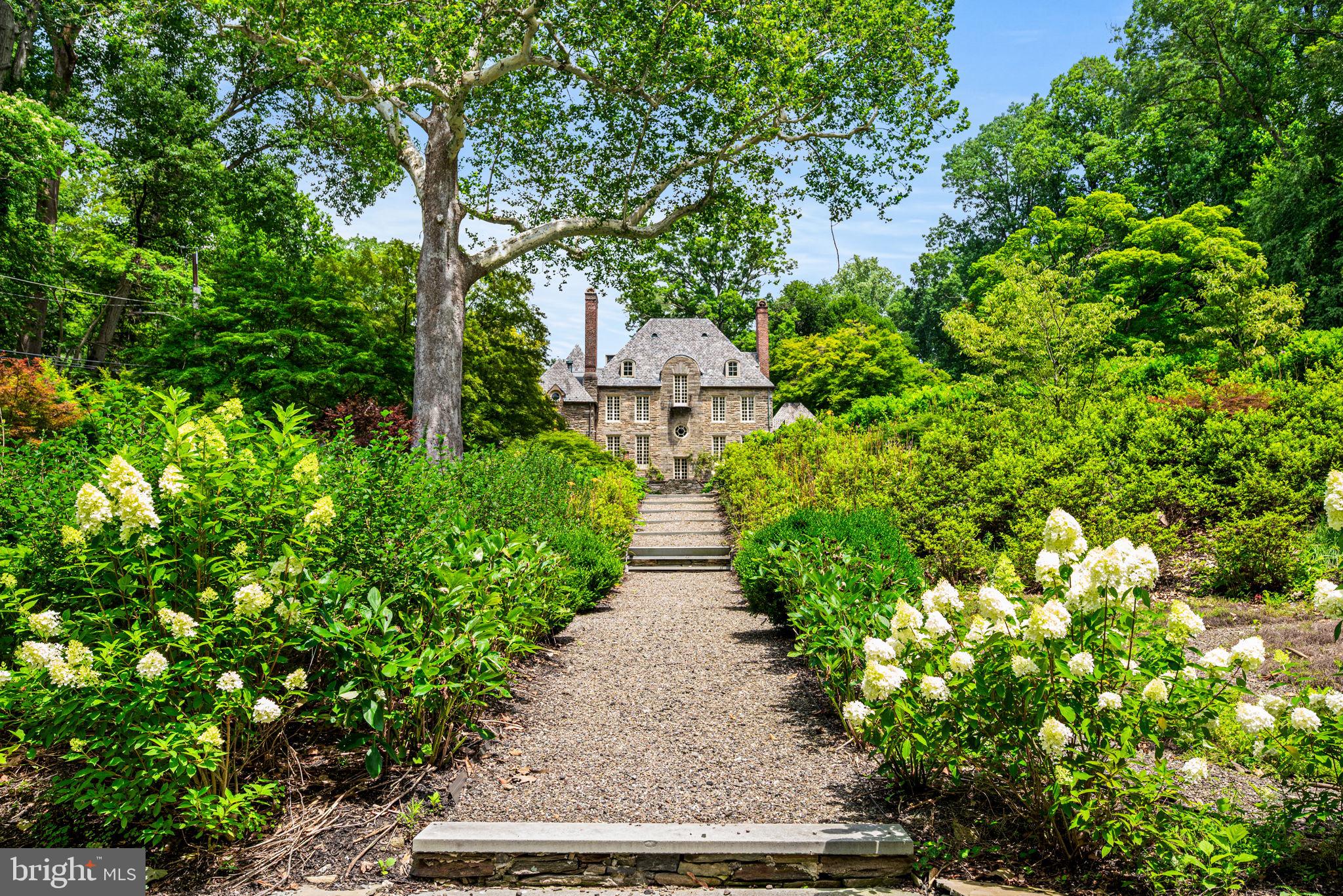 42 West Bells Mill Road Philadelphia, PA 19118 - Photo 40 of 43 a view of path in between the bunch of plants and trees