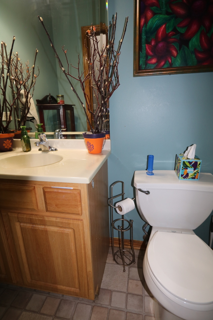 1053 Sycamore Street Beecher, IL 60401 - Photo 11 of 19