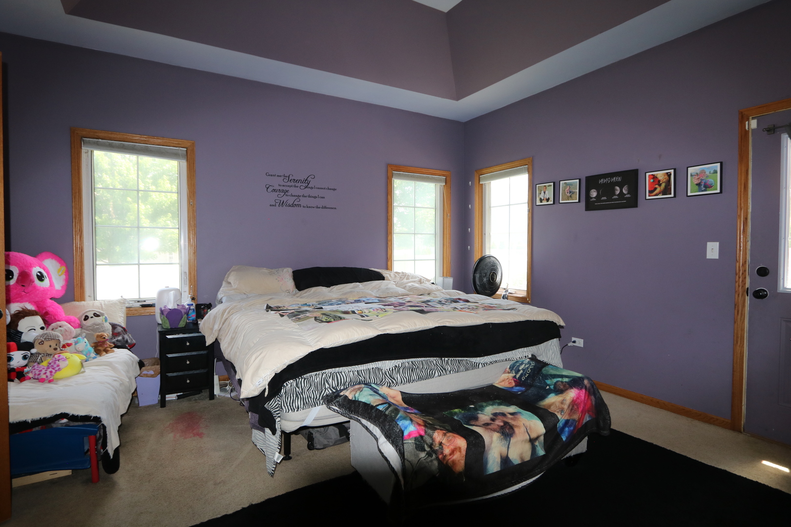 1053 Sycamore Street Beecher, IL 60401 - Photo 13 of 19