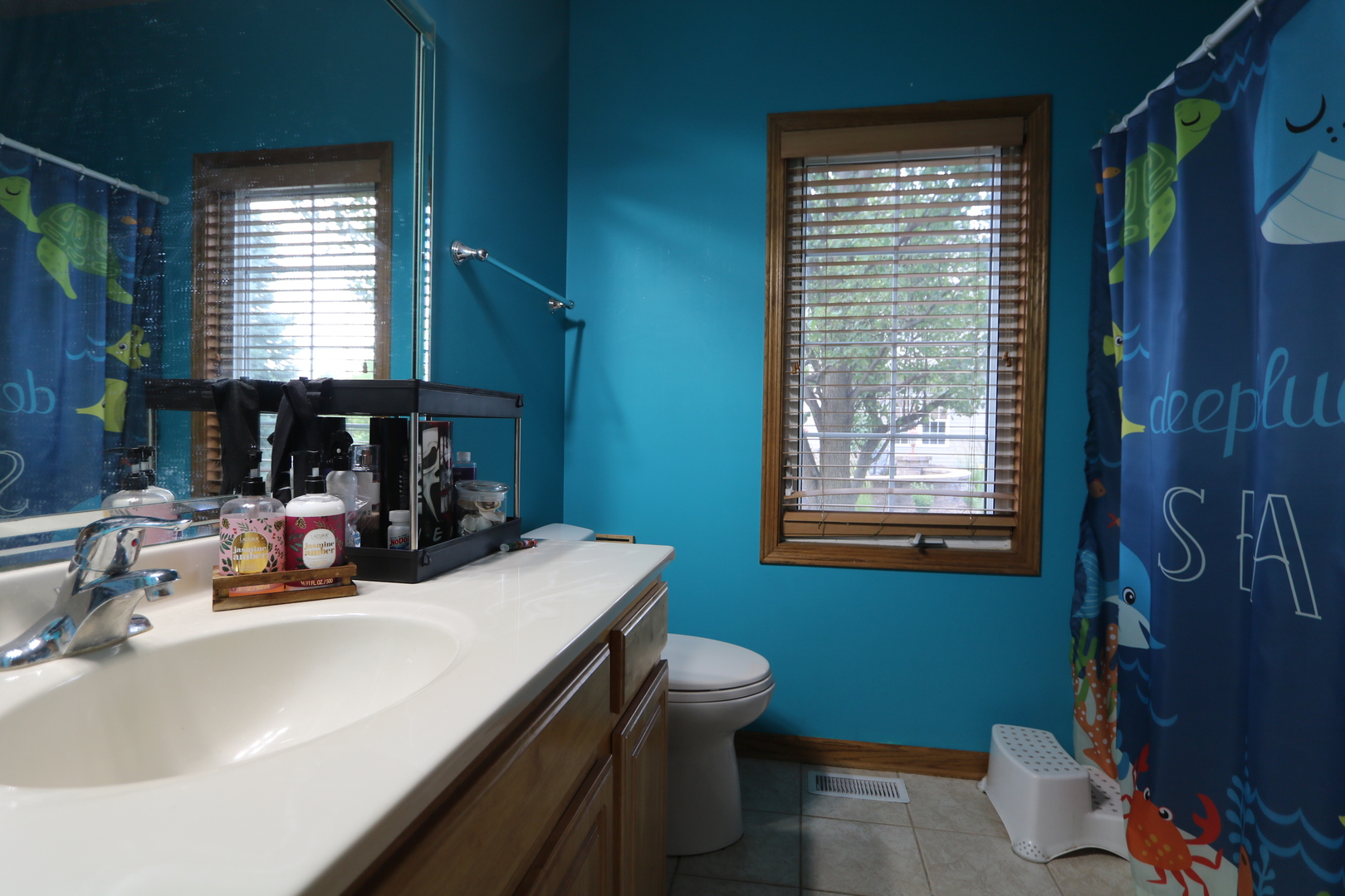 1053 Sycamore Street Beecher, IL 60401 - Photo 9 of 19