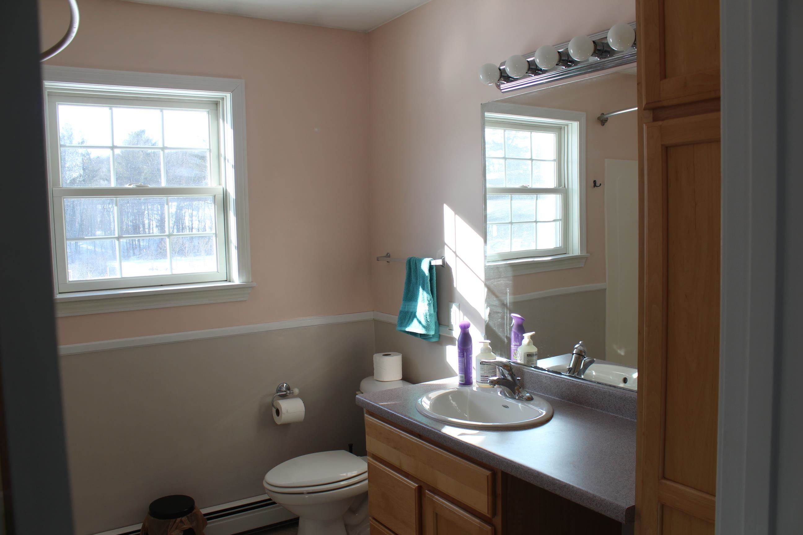 1153 Hardscrabble Road Bristol, VT 05443 - Photo 26 of 39