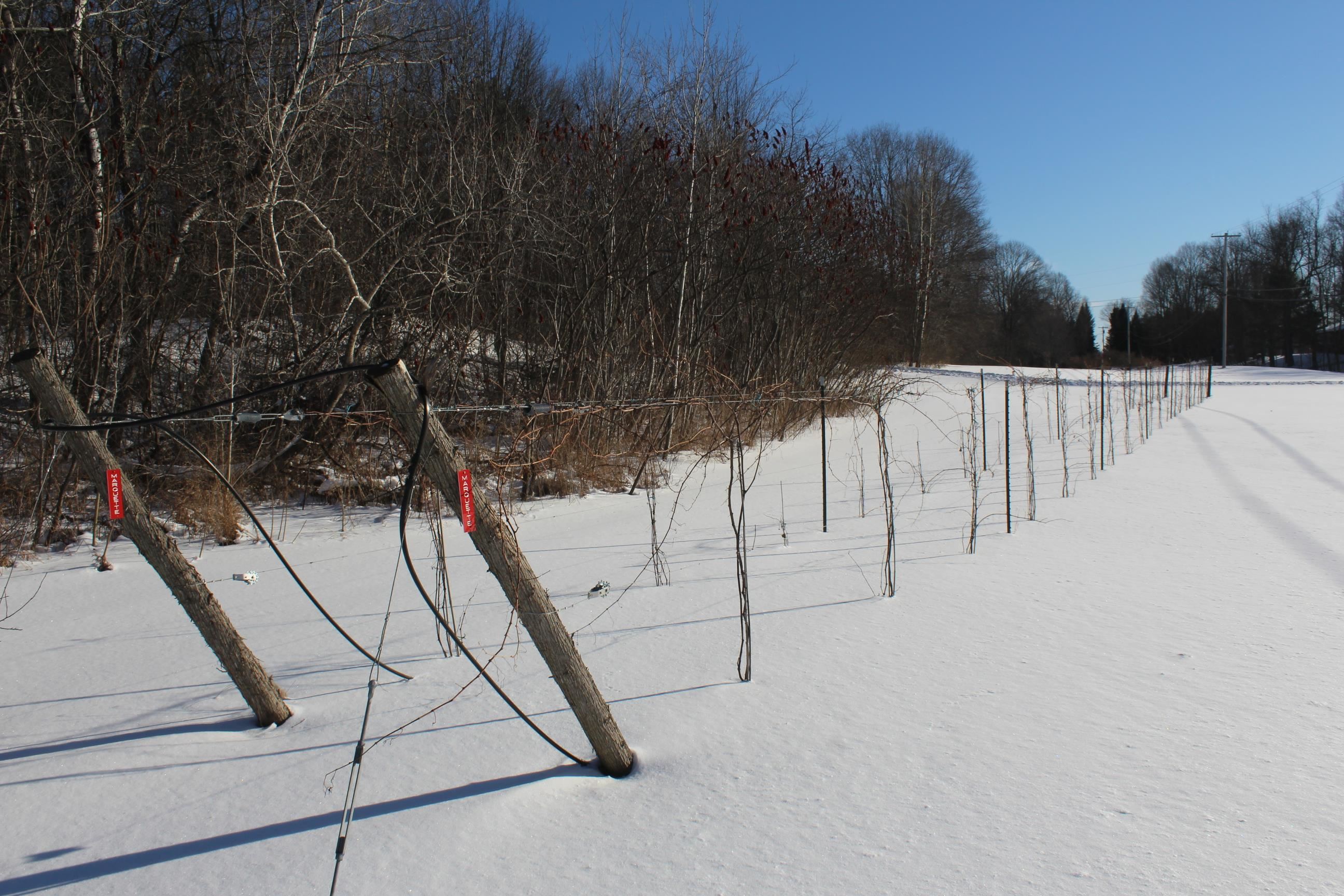 1153 Hardscrabble Road Bristol, VT 05443 - Photo 6 of 39