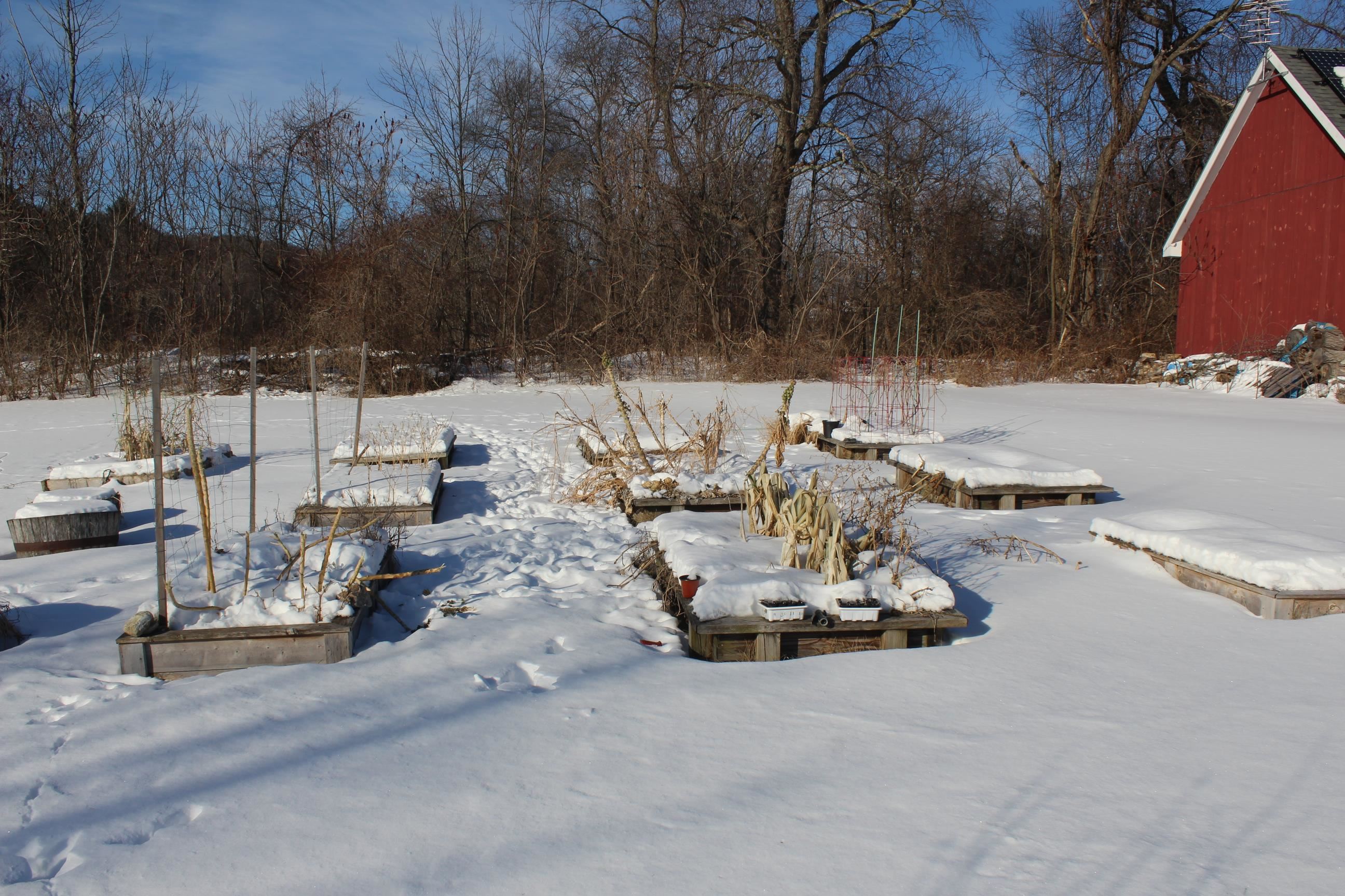 1153 Hardscrabble Road Bristol, VT 05443 - Photo 8 of 39