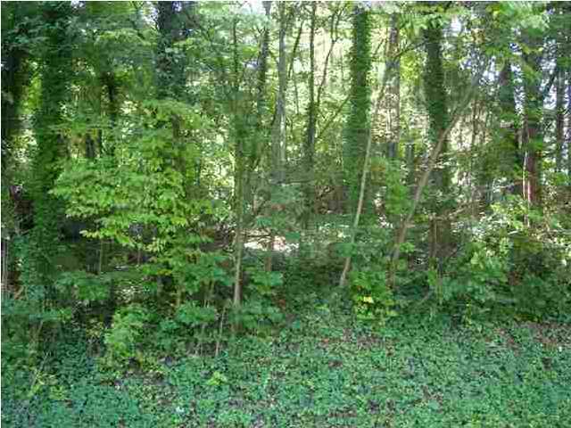 89 Edgewater Street Dayton, TN 37321 - Photo 1 of 3 Primary Photo