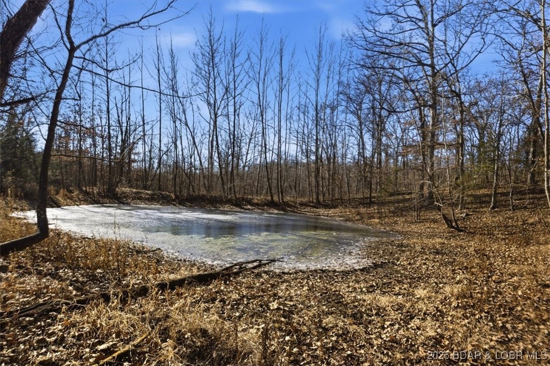 82-acres State Road North Climax Springs, MO 65324 - Photo 35 of 68