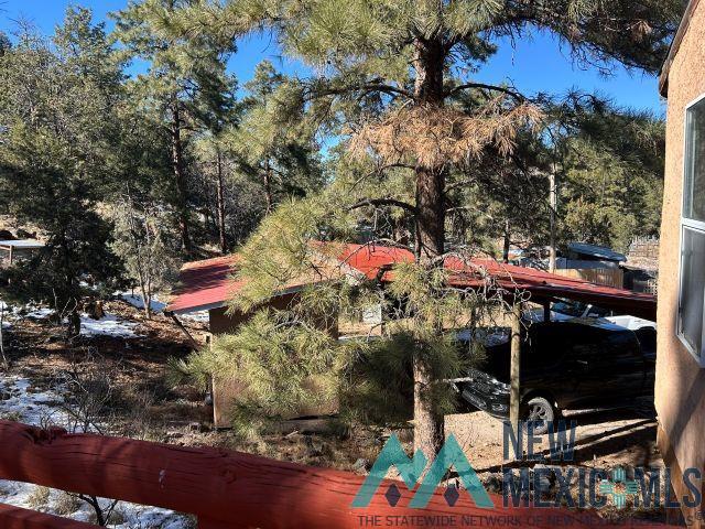 375 Hop Canyon Road Magdalena, NM 87825 - Photo 30 of 33 View of yard