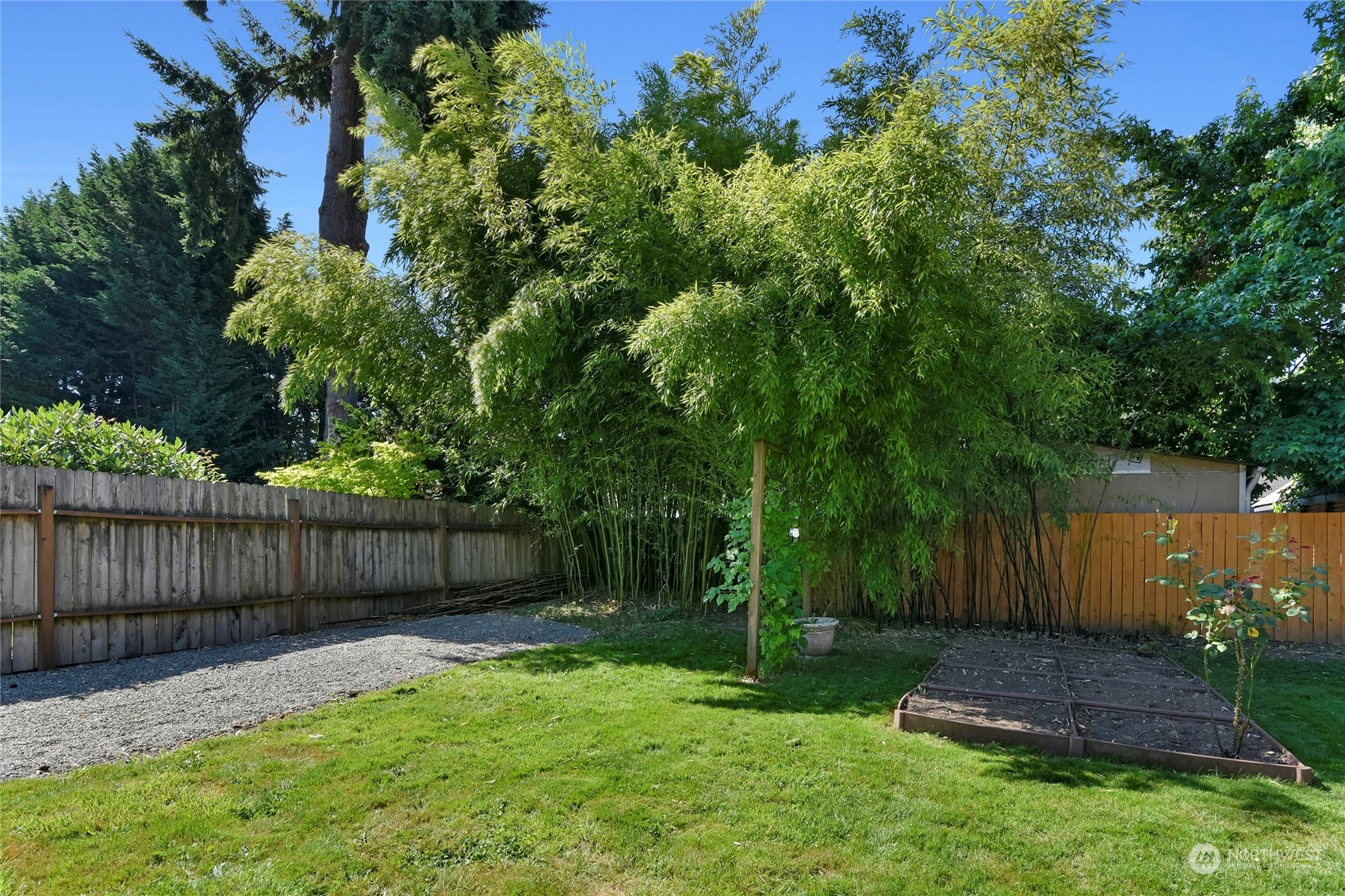3609 Southeast 5th Place Renton, WA 98058 - Photo 35 of 40 a view of yard with green space