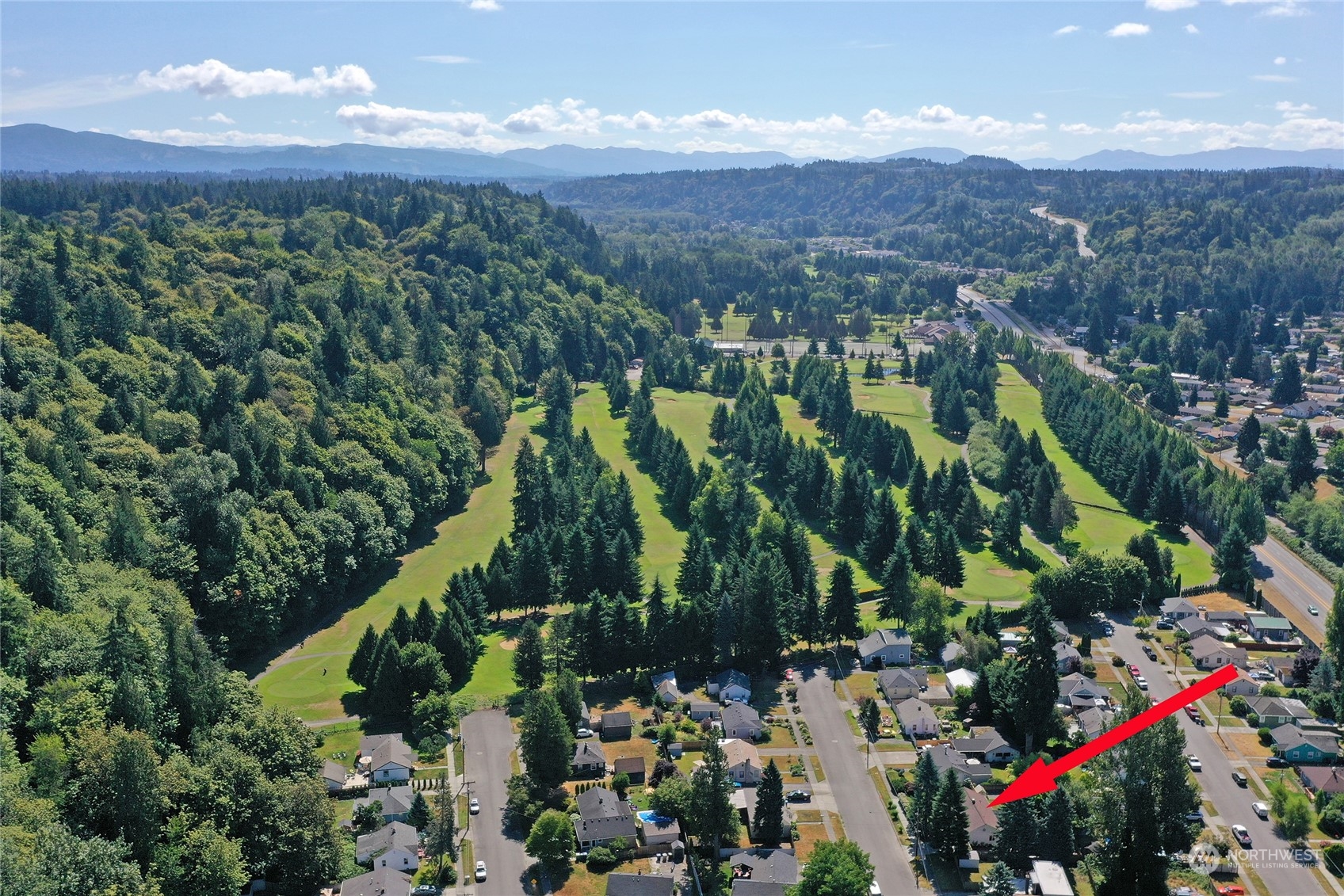 3609 Southeast 5th Place Renton, WA 98058 - Photo 39 of 40 a view of a garden with mountains in the background
