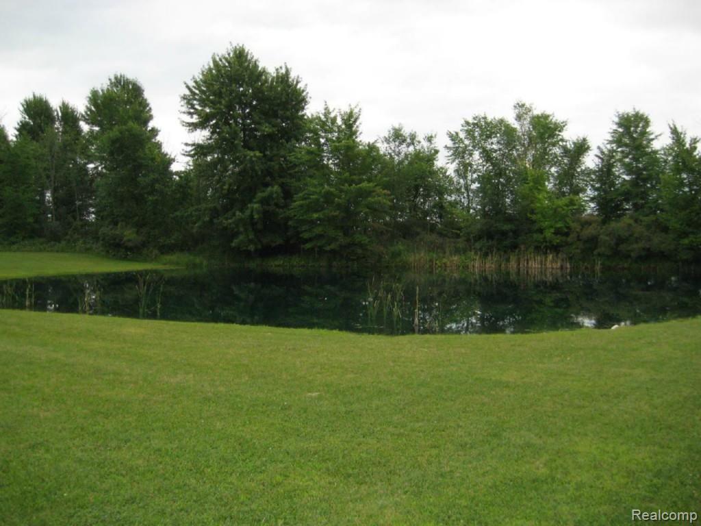 8400 Metcalf Road Avoca, MI 48006 - Photo 26 of 28 Pond