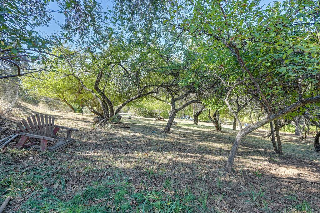 8080 Horseshoe Bar Road Loomis, CA 95650 - Photo 75 of 86 Gallery Image 75