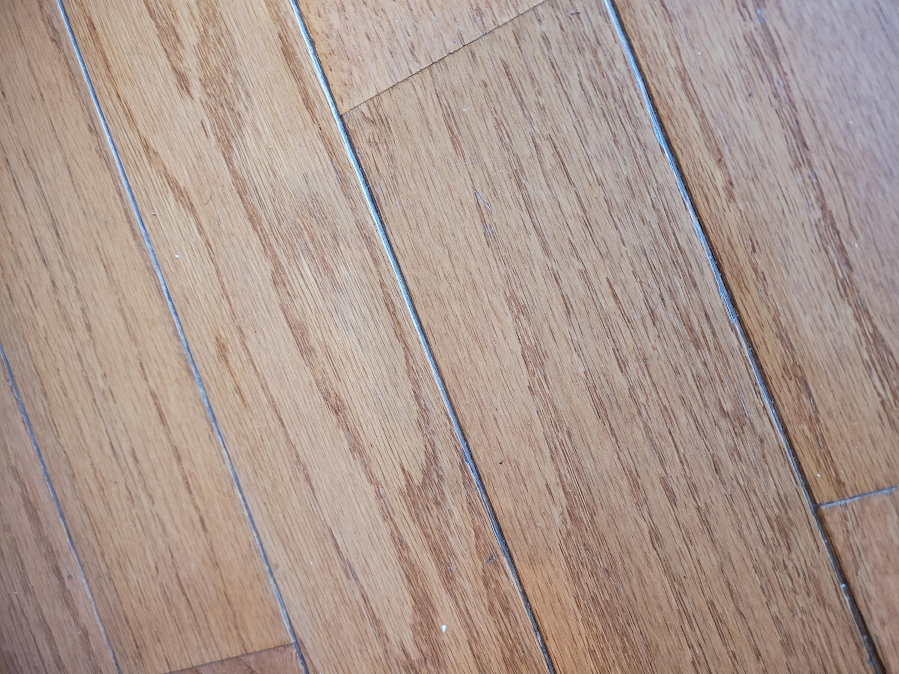 6820 Bowerman Road Horton, MI 49246 - Photo 16 of 34 20251123_123748