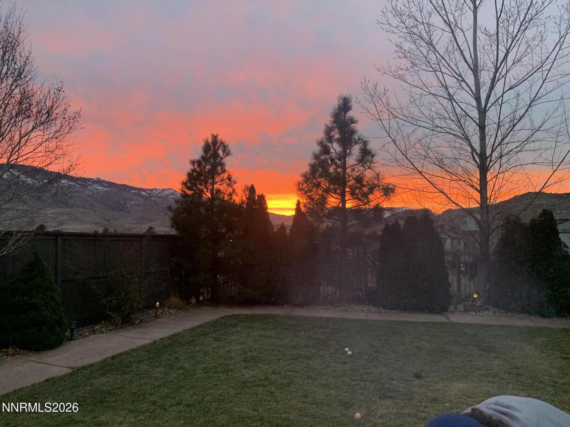 325 Jackson Springs Drive Reno, NV 89523 - Photo 42 of 47 IMG_0739