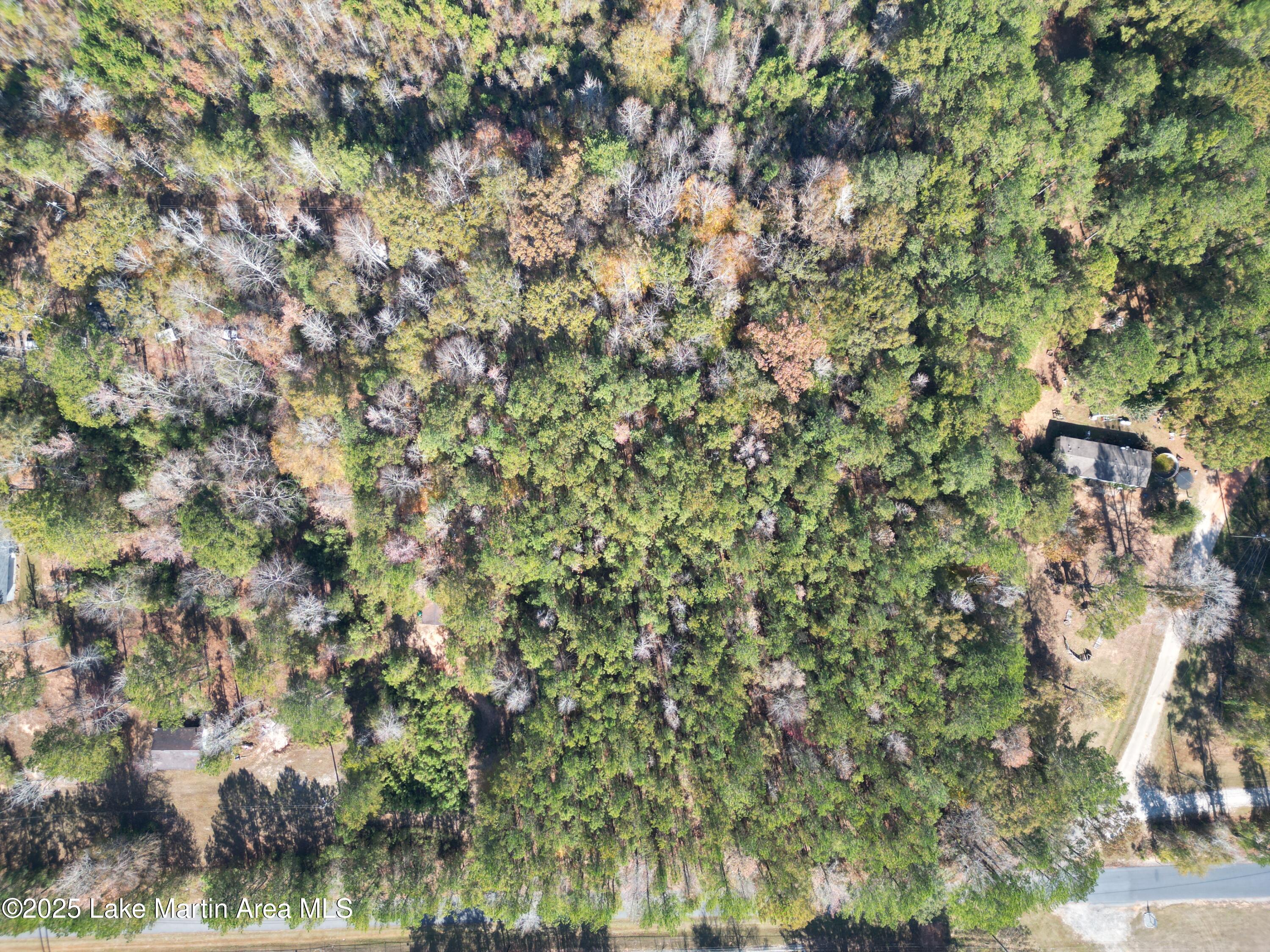391 Brick Plant Road Alexander City, AL 35010 - Photo 1 of 1 1