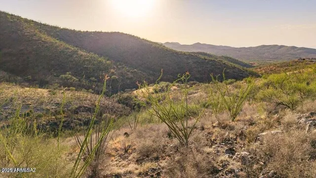 a view of a house with a mountain and a forest