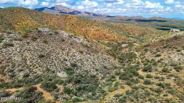 a view of a yard of a building