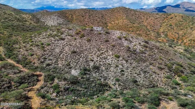a view of a large building with a mountain in the background