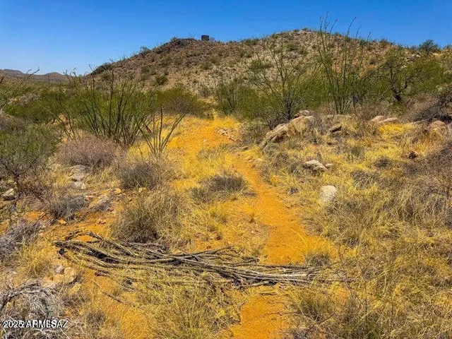 a view of a house with a mountain