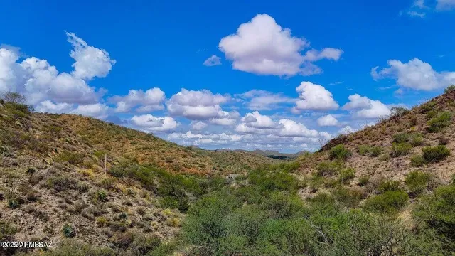 a view of a tree with a yard