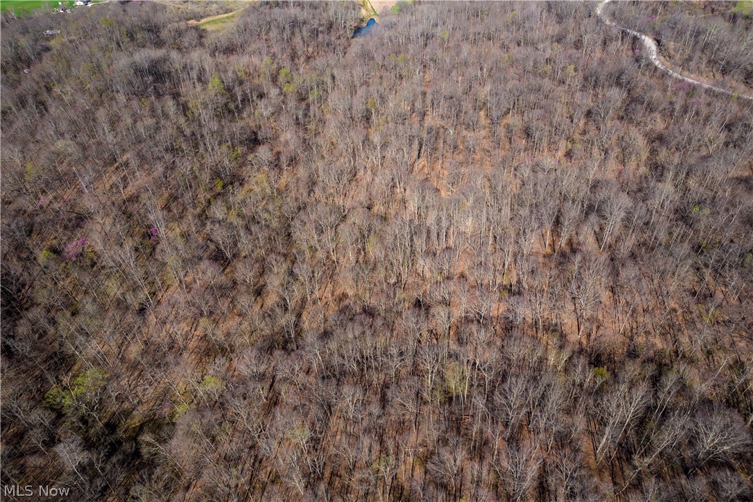 Sealover Hollow Rd Road Philo, OH 43771 - Photo 7 of 36